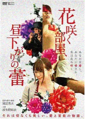 深海探险队 免费观看